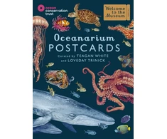 KNYGA Bookshop Oceanarium Postcards