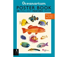 KNYGA Bookshop Oceanarium Poster Book