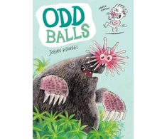 KNYGA Bookshop Oddballs