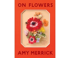 KNYGA Bookshop On Flowers