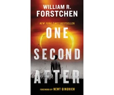 KNYGA Bookshop One Second After