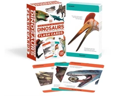 KNYGA Bookshop Our World in Pictures Dinosaurs and Other Prehistoric Creatures Flash Cards