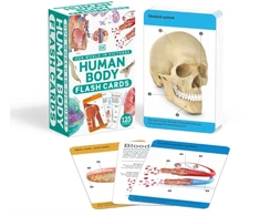 KNYGA Bookshop Our World in Pictures Human Body Flash Cards