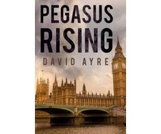 KNYGA Bookshop Pegasus Rising