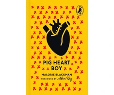KNYGA Bookshop Pig-Heart Boy