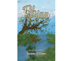 KNYGA Sandra Ogwin The Plan