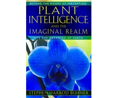 KNYGA Bookshop Plant Intelligence and the Imaginal Realm