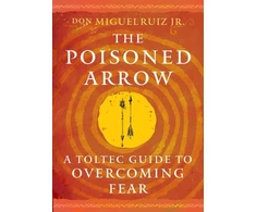 KNYGA Bookshop Poisoned Arrow