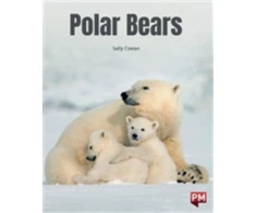 KNYGA Bookshop POLAR BEARS