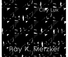 KNYGA Bookshop Ray K. Metzker: City Lux