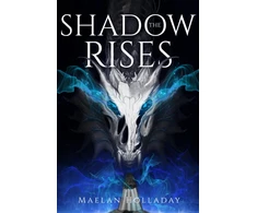KNYGA Bookshop Shadow Rises
