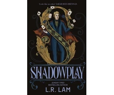 KNYGA Bookshop Shadowplay