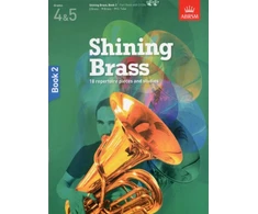 KNYGA Bookshop Shining Brass, Book 2