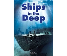 KNYGA Bookshop Ships in the Deep (Set 08)
