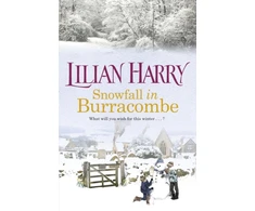 KNYGA Bookshop Snowfall in Burracombe