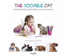 KNYGA Bookshop Sociable Cat