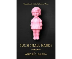 KNYGA Bookshop Such Small Hands