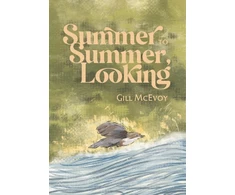 KNYGA Bookshop Summer to Summer, Looking