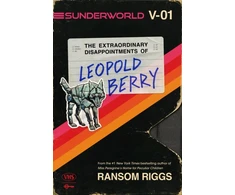 KNYGA Bookshop Sunderworld, Vol. I: The Extraordinary Disappointments of Leopold Berry