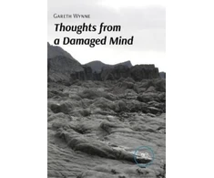 KNYGA Gareth Wynne THOUGHTS FROM A DAMAGED MIND (Pažeista pakuotė)