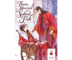 KNYGA Bookshop Thrice Married to a Salted Fish (Novel) Vol. 1