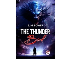 KNYGA Bookshop Thunder Bird