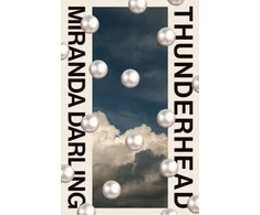 KNYGA Bookshop Thunderhead