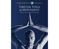 KNYGA Bookshop Tibetan Yoga of Movement