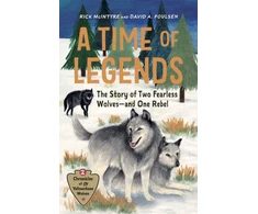 KNYGA Bookshop Time of Legends