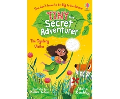 KNYGA Aisha Bushby Tiny the Secret Adventurer: The Mystery Visitor