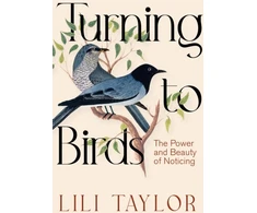 KNYGA Bookshop Turning to Birds