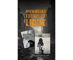 KNYGA Bookshop Unfamiliar Forms of Light