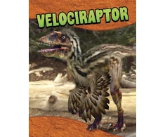 KNYGA Bookshop Velociraptor