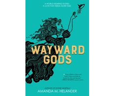 KNYGA Bookshop Hyperion Wayward Gods