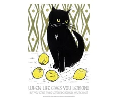 KNYGA Bookshop WHEN LIFE GIVES YOU LEMONS