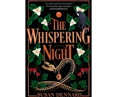 KNYGA Bookshop Whispering Night
