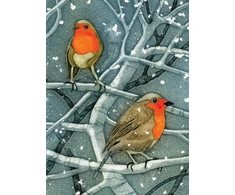KNYGA Bookshop Wild Birds Pocket Notebook: Robin