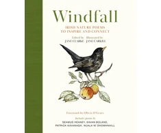 KNYGA Bookshop Windfall