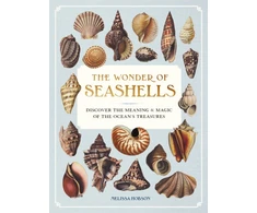 KNYGA Bookshop Wonder of Seashells