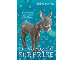 KNYGA Booth, Anne (Children's fiction writer) Lucy's Magical Surprise
