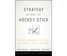 KNYGA Bradley, Chris (Business consultant) Strategy Beyond the Hockey Stick