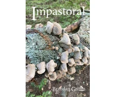 KNYGA Brandan Griffin Impastoral