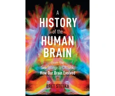 KNYGA Bret Stetka History of the Human Brain
