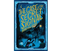 KNYGA Brian Gallagher Case of the Secret Signal