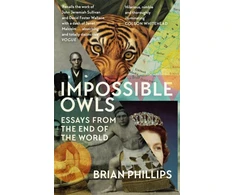 KNYGA Brian Phillips Impossible Owls