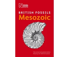 KNYGA British Museum (Natural History) British Mesozoic Fossils