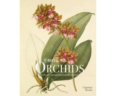 KNYGA Brooks RHS Orchids