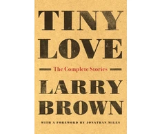 KNYGA Brown Larry Jr Mažytė Meilė