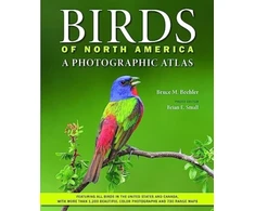 KNYGA Bruce M Beehler Birds of North America