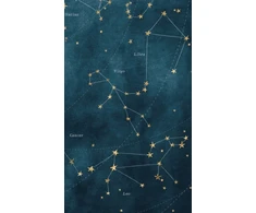 KNYGA Bushel Peck Books Constellated Journal